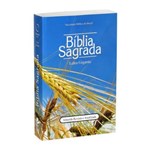 Ficha técnica e caractérísticas do produto Bíblia Sagrada Ra Letra Gigante - Trigo