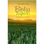Ficha técnica e caractérísticas do produto Biblia Sagrada Tradicional - Capa Dura - Sbb
