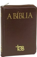 Ficha técnica e caractérísticas do produto Biblia Teb Popular Ziper - Marron - Loyola
