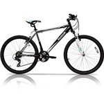 Ficha técnica e caractérísticas do produto Bicicleta Argon 17" 21 Marchas Aro 26 - Reebok