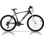 Ficha técnica e caractérísticas do produto Bicicleta Argon 19" 21 Marchas Aro 26 - Reebok