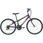 Ficha técnica e caractérísticas do produto Bicicleta Aro 24 Polimet Feminina MTB e 18 Marchas - Preta