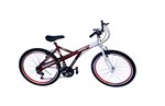 Ficha técnica e caractérísticas do produto Bicicleta Aro 26 Onix Xr Vermelho com Aro Aero