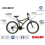 Ficha técnica e caractérísticas do produto Bicicleta Caloi Andes Aro 26 21V