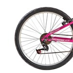 Ficha técnica e caractérísticas do produto Bicicleta Fantasy 21 V Aro 24 Rosa 21 Marchas - Mormaii