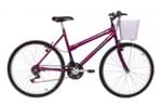 Ficha técnica e caractérísticas do produto Bicicleta Fantasy 21V Aro 26 Violeta - Mormaii