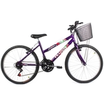 Ficha técnica e caractérísticas do produto Bicicleta Feminina Aro 24 Mountain Bike Com Cesta - Violeta