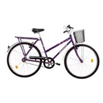 Ficha técnica e caractérísticas do produto Bicicleta Houston Aro 26 Onix VB Feminina, Violeta