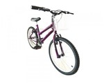 Ficha técnica e caractérísticas do produto Bicicleta Infantil Aro 20 Feminina Mtb com Cestinha - Avance