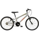 Ficha técnica e caractérísticas do produto Bicicleta Infantil Aro 20 MTB Polimet Prata