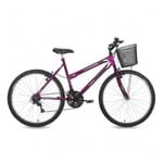 Ficha técnica e caractérísticas do produto Bicicleta Mormaii Fantasy Aro 26 Violeta