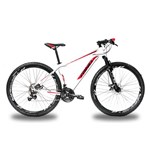Ficha técnica e caractérísticas do produto Bicicleta RINO ATACAMA 29 Freio a Disco - Cambios Shimano 24v com Trava