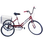 Ficha técnica e caractérísticas do produto Bicicleta Triciclo Aro 26