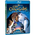 Ficha técnica e caractérísticas do produto Blu-ray Como Cães e Gatos