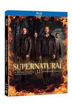 Ficha técnica e caractérísticas do produto Blu-Ray - Supernatural - 12ª Temporada - Warner Bros.