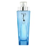 Ficha técnica e caractérísticas do produto Blue Sky New Brand - Perfume Feminino Eau de Parfum