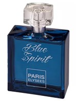 Ficha técnica e caractérísticas do produto Blue Spirit Feminino Eau de Toilette 100ml - Paris Elysees