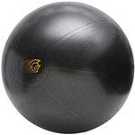 Ficha técnica e caractérísticas do produto Bola de Exercícios 65 CM Fit Ball Training - Pretorian Performance FBT65