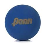 Ficha técnica e caractérísticas do produto Bola de Frescobol Penn Azul