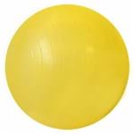 Ficha técnica e caractérísticas do produto Bola de Ginastica 55cm C/ Bomba para Inflar Supermedy