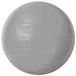 Ficha técnica e caractérísticas do produto Bola de Ginástica Acte Sports com Bomba de Ar 55cm