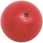 Ficha técnica e caractérísticas do produto Bola de Ginástica Anti-Estouro 55cm (Yoga) - Torian