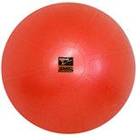 Ficha técnica e caractérísticas do produto Bola de Ginástica Anti-Estouro 75cm - Torian