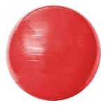 Ficha técnica e caractérísticas do produto Bola de Ginástica com Bomba de Ar Acte Sports Gym Ball 55cm - Vermelha