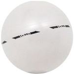 Ficha técnica e caractérísticas do produto Bola de Ginástica Gym Ball 55 Cm Prata com Bomba de Ar Vollo Sports VP1028