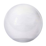 Bola de Ginástica Gym Ball 65cm Transparente T9-T Acte