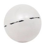 Ficha técnica e caractérísticas do produto Bola de Ginástica Gym Ball Vollo Sports em PVC - Cinza Claro - 55cm