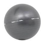 Ficha técnica e caractérísticas do produto Bola de Ginástica Gym Ball Vollo Sports em PVC - Cinza Escuro - 75cm
