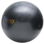 Ficha técnica e caractérísticas do produto Bola de Ginástica Pretorian Fit Ball 55cm - Cinza