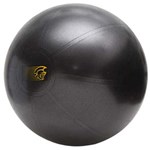 Ficha técnica e caractérísticas do produto Bola de Ginástica Pretorian Fit Ball 65cm - Cinza