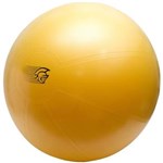 Ficha técnica e caractérísticas do produto Bola de Ginástica Pretorian Fit Ball PRO 75cm, Amarela