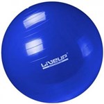 Ficha técnica e caractérísticas do produto Bola de Pilates 65 Cm- Azul