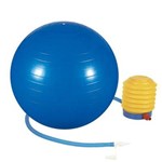 Ficha técnica e caractérísticas do produto Bola Ginástica Pilates 65cm Azul Mor 40100003