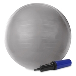 Ficha técnica e caractérísticas do produto Bola Gym Ball ACTE 55 cm Cinza