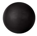 Ficha técnica e caractérísticas do produto Bola Gym Ball ACTE 65cm T9 Preta