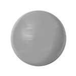 Ficha técnica e caractérísticas do produto Bola Gym Ball Acte Sports Cinza de 55Cm com Bomba de Ar T9