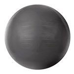 Ficha técnica e caractérísticas do produto Bola Gym Ball Acte T9-75 Cinza com 75cm de Diâmetro