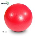 Ficha técnica e caractérísticas do produto Bola para Exercícios Gym Ball 55 Cm Vermelha Mambo Max