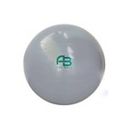 Ficha técnica e caractérísticas do produto Bola para Exercicios Gym Ball 65cm com DVD Bomba Carci Cinza