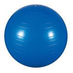 Ficha técnica e caractérísticas do produto Bola para Ginástica 65cm Azul 40100003 - Mor - Mor