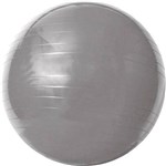 Ficha técnica e caractérísticas do produto Bola para Ginástica Gym Ball 75cm Acte Sports Cinza