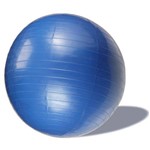 Ficha técnica e caractérísticas do produto Bola para Pilates 65 Cm Black Bull