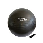 Ficha técnica e caractérísticas do produto Bola Pilates com Bomba 65cm Roppe