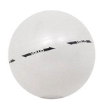 Ficha técnica e caractérísticas do produto Bola Pilates Gym Ball com Bomba 55cm - Vp1028 - Vo