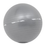 Ficha técnica e caractérísticas do produto Bola Pilates Gym Ball com Bomba 65cm - VP1029 - Vollo