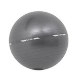 Ficha técnica e caractérísticas do produto Bola Pilates Gym Ball com Bomba 75cm VP1030 Vollo